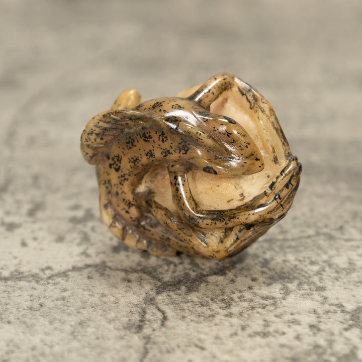 Jesus Lizard Tagua Nut Carving