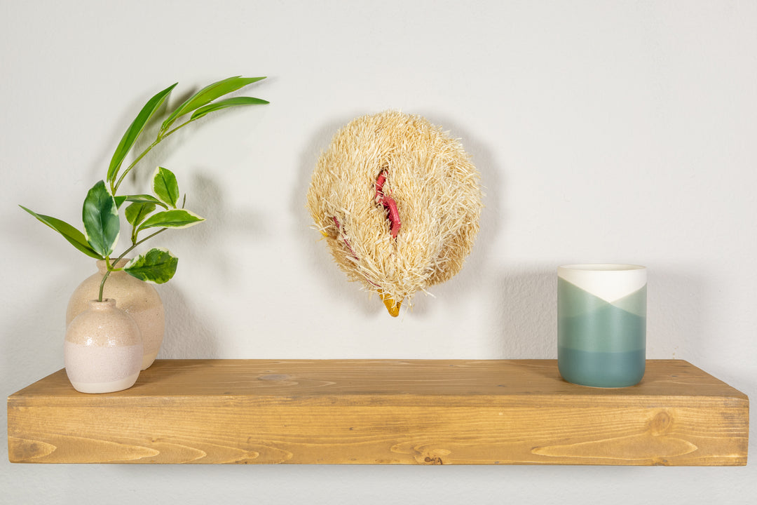 Tropical Chicken Mask
