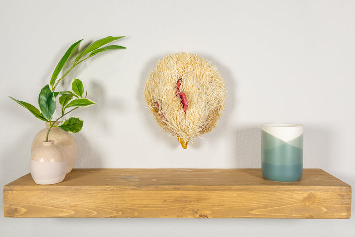 Tropical Chicken Mask