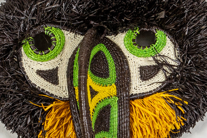 Hornbill Bird Mask