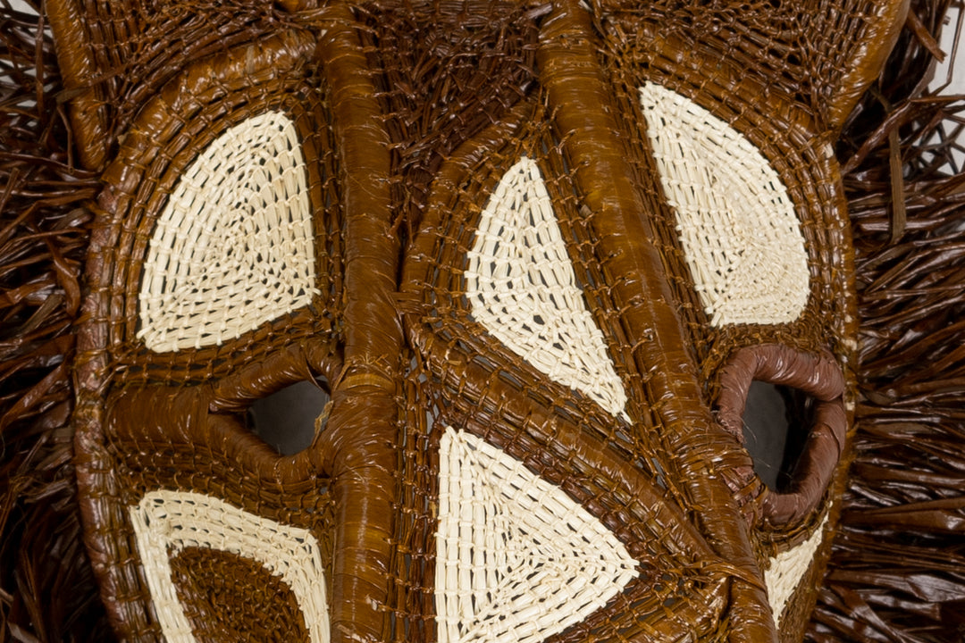 African Wild Dog Mask