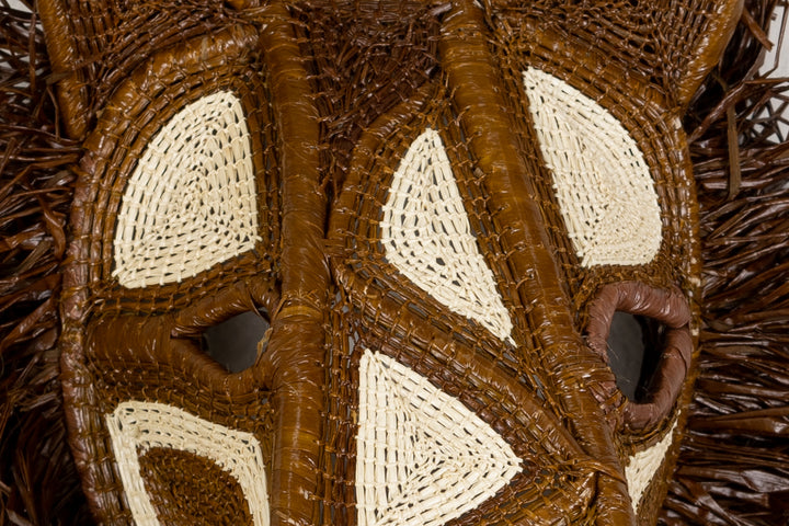 African Wild Dog Mask