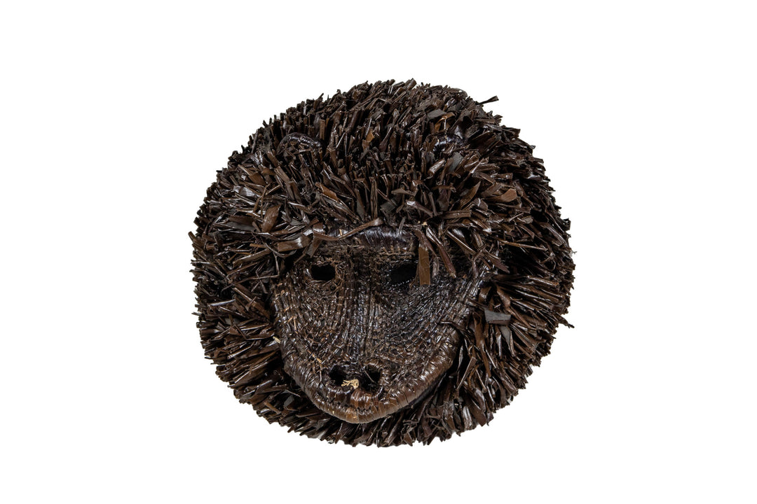 Tamarin Monkey Mask