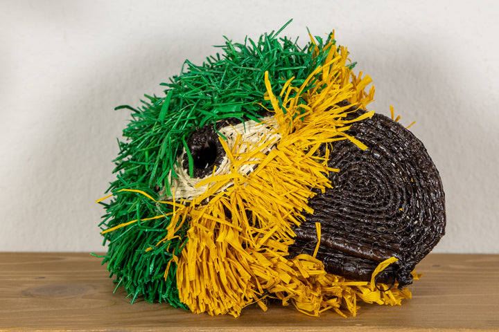 Yellow-Crowned Amazon Parrot Mask