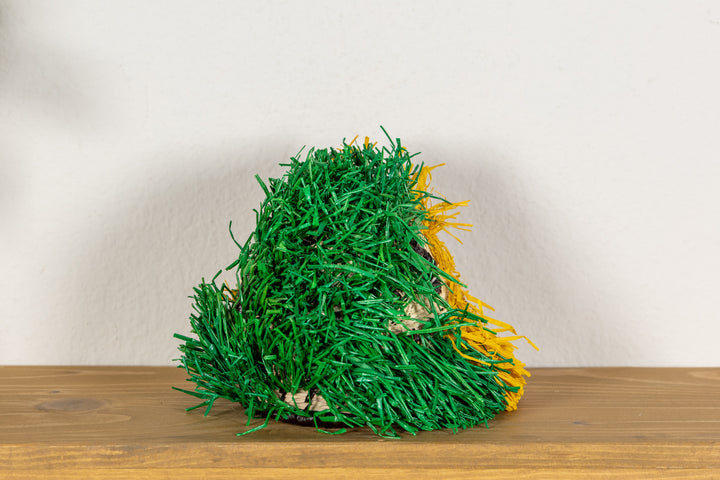 Yellow-Crowned Amazon Parrot Mask