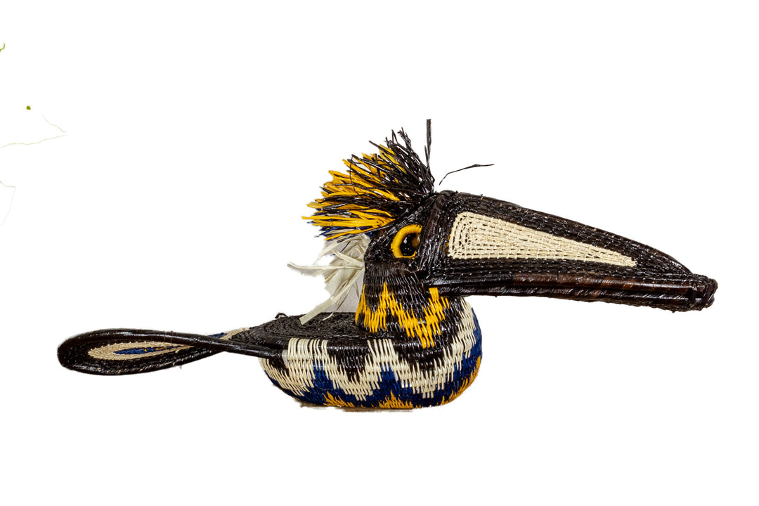 Black and Gold Toucan Bird