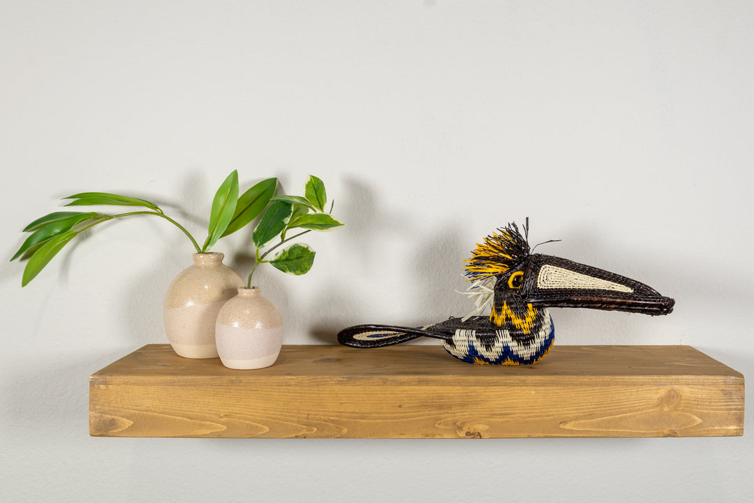 Black and Gold Toucan Bird