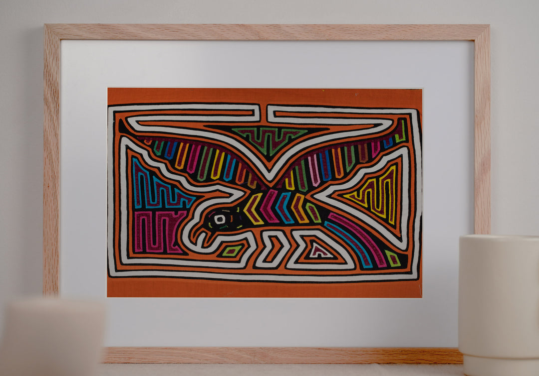 Orange and White Seagull Bird Mola