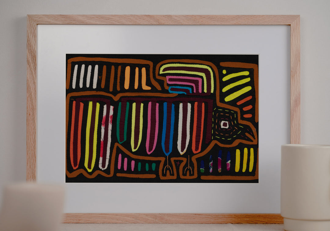 High Speed Carrier Pigeon Bird Mola