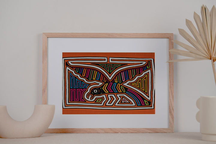 Orange and White Seagull Bird Mola