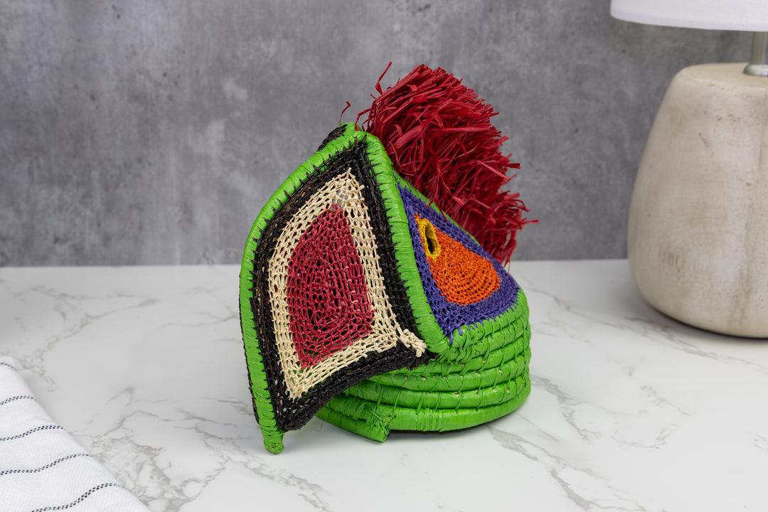 Macaw Parrot Mask