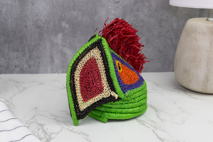 Macaw Parrot Mask