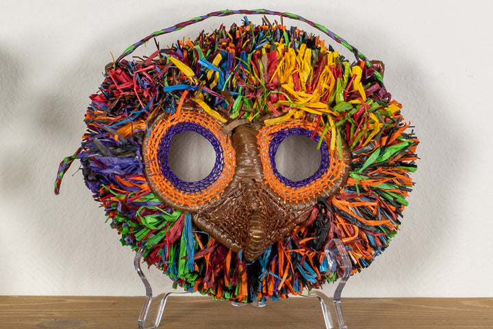 Rainbow Colors Owl Mask
