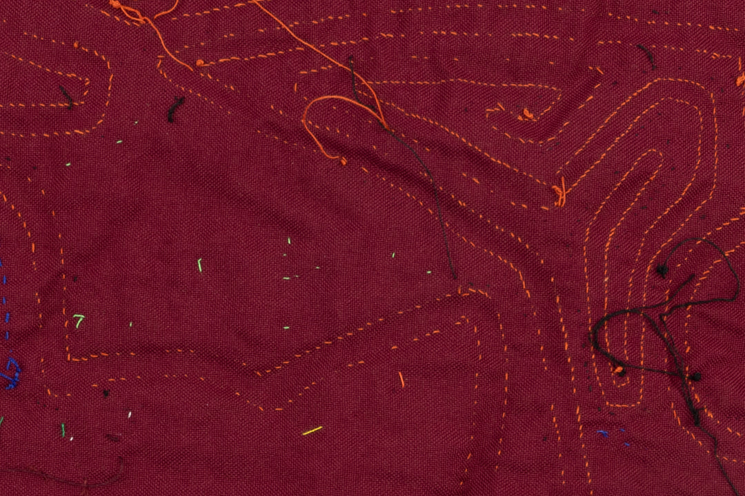 Kuna Indian Hand Sewn Duck in a Box Mola Panama