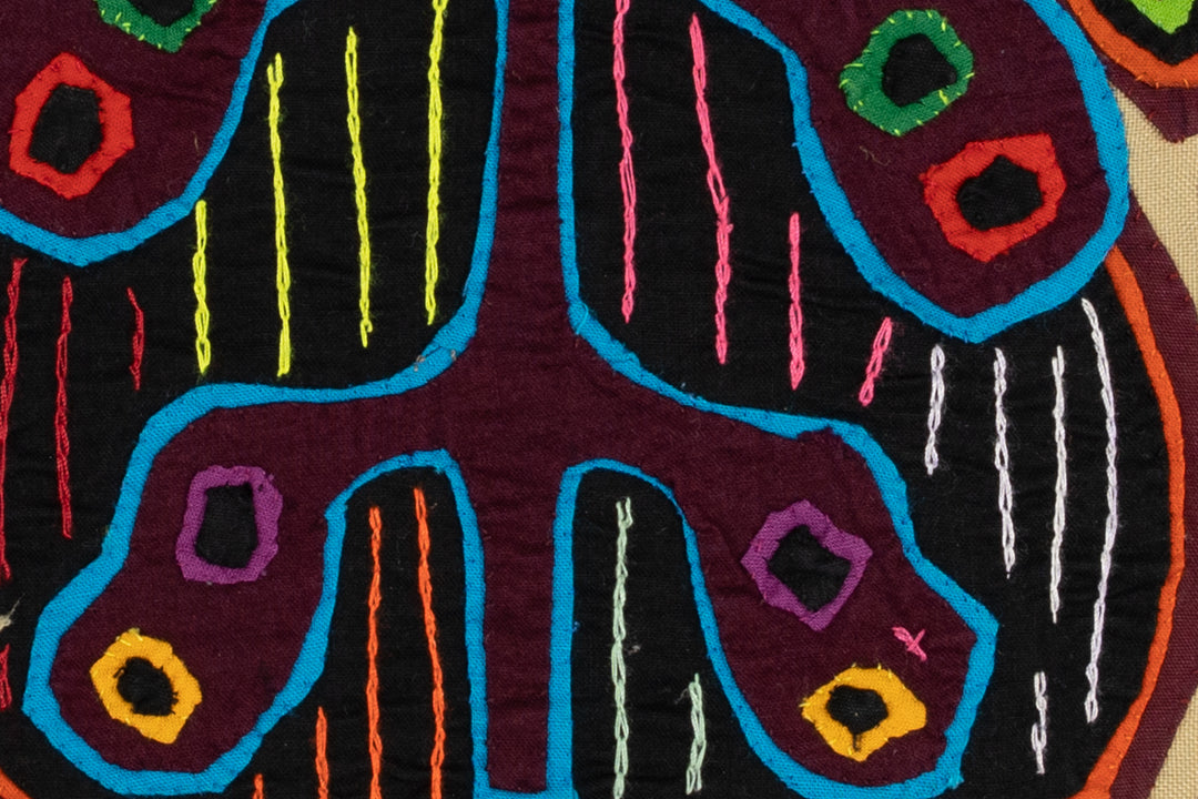 Low Hanging Star Apple Fruit Mola