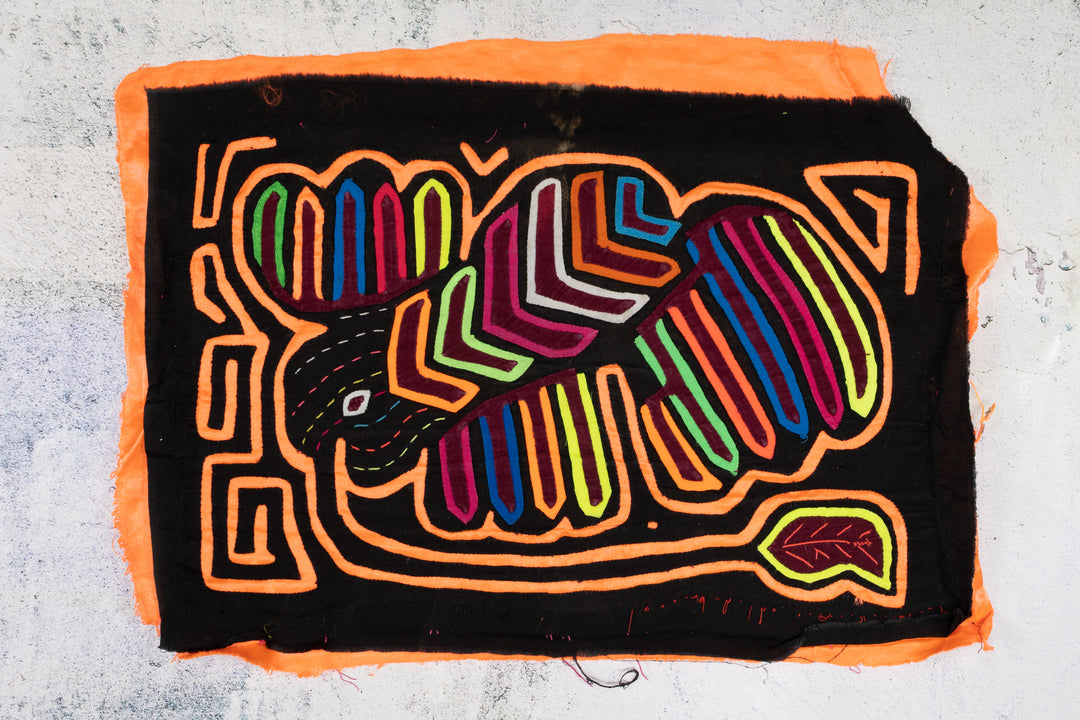 Black And Orange Weird Critter Mola