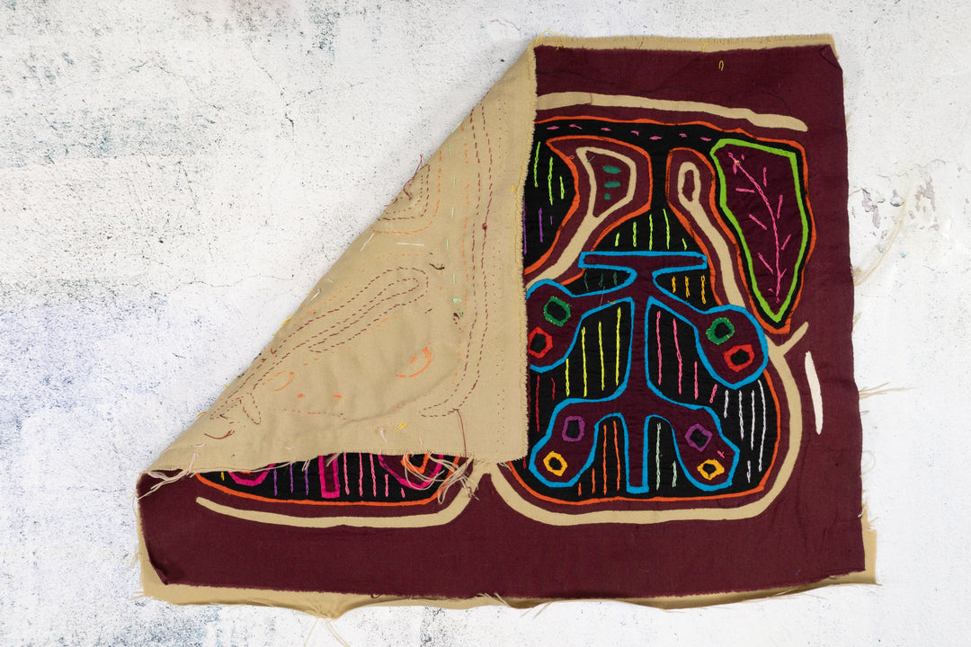 Low Hanging Star Apple Fruit Mola