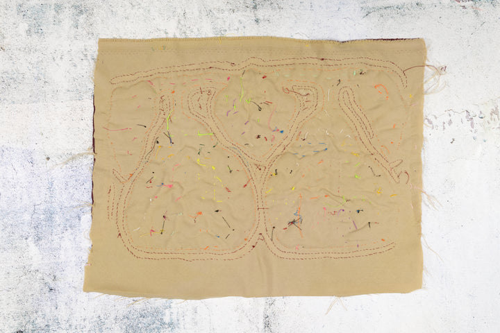 Low Hanging Star Apple Fruit Mola