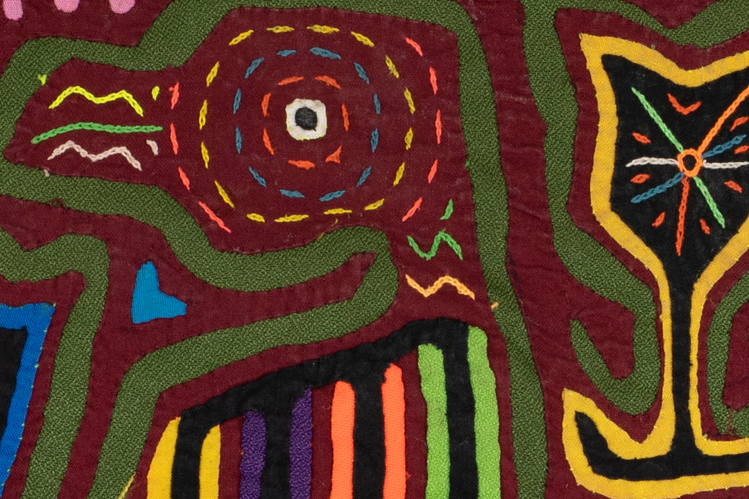 Maroon Gossip Bird Mola