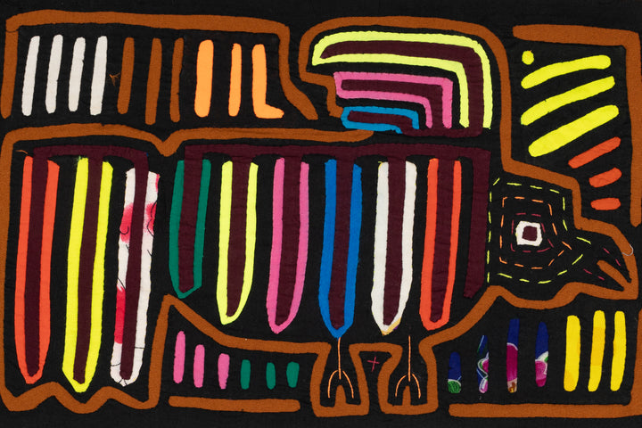 High Speed Carrier Pigeon Bird Mola