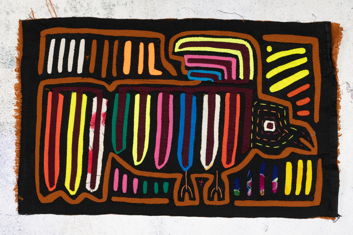 High Speed Carrier Pigeon Bird Mola