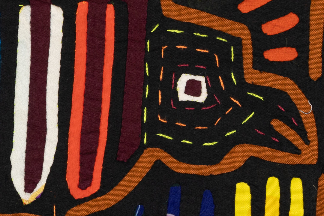 High Speed Carrier Pigeon Bird Mola