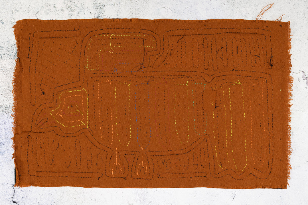 High Speed Carrier Pigeon Bird Mola