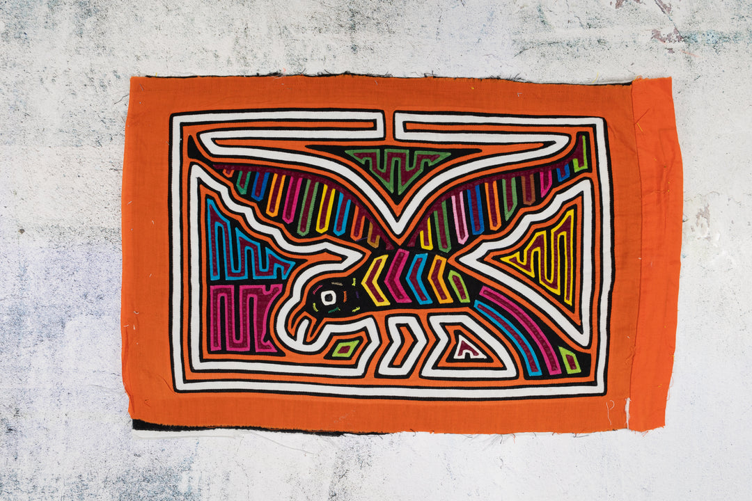 Orange and White Seagull Bird Mola