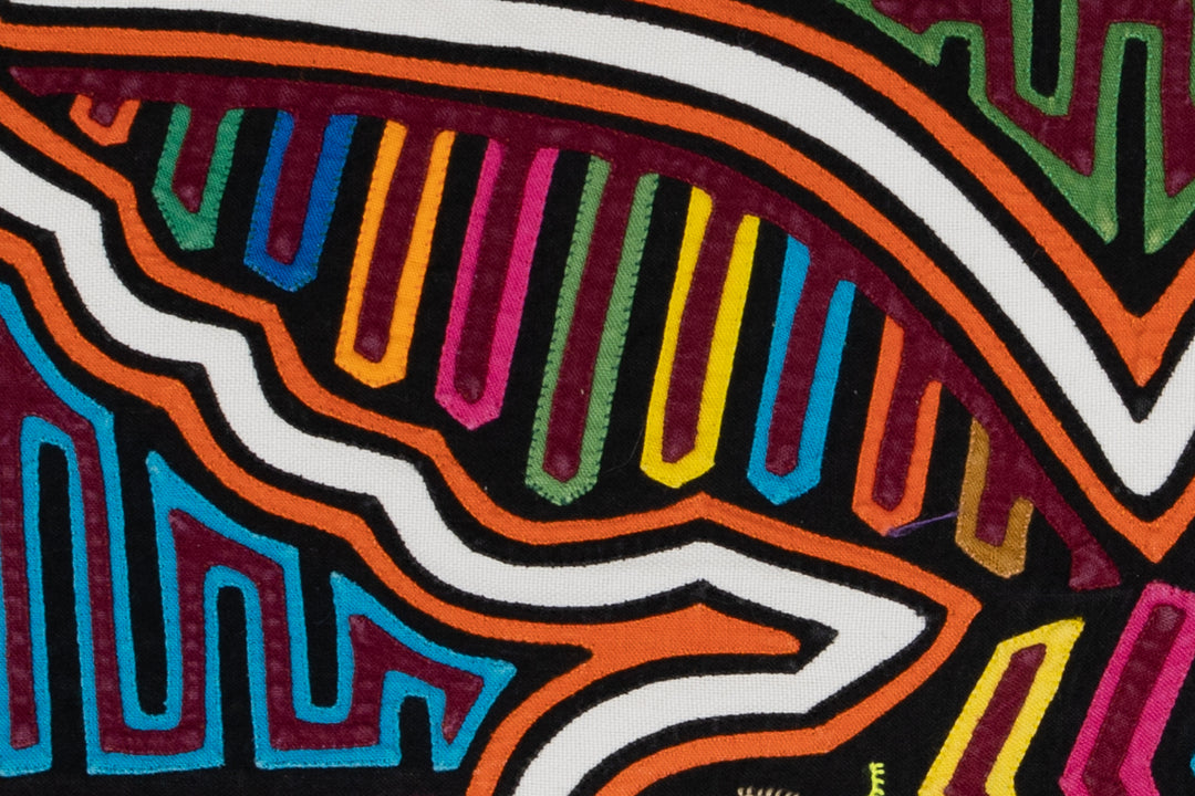 Orange and White Seagull Bird Mola