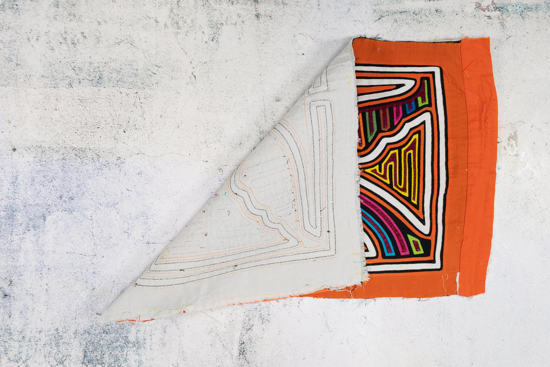 Orange and White Seagull Bird Mola