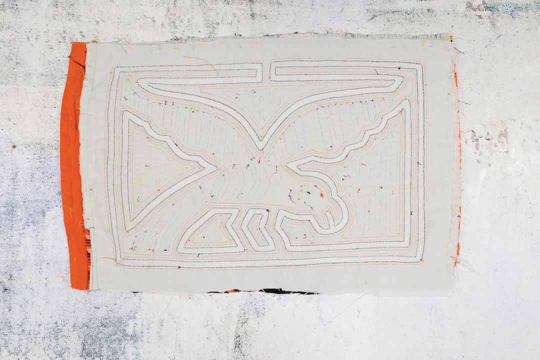 Orange and White Seagull Bird Mola