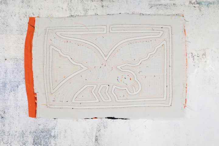 Orange and White Seagull Bird Mola