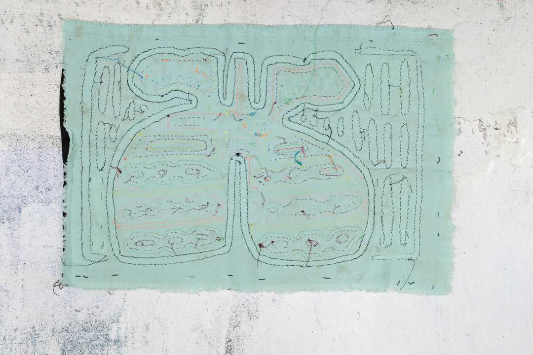 Tropical Mangoes with Leaves Mola