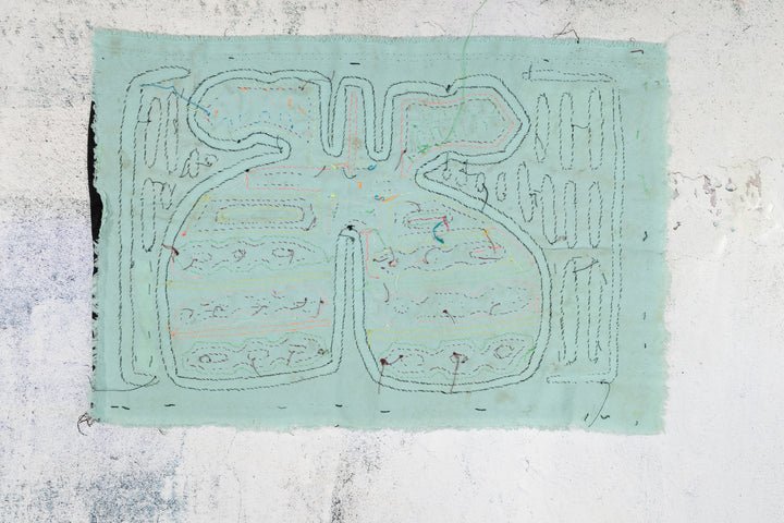 Tropical Mangoes with Leaves Mola