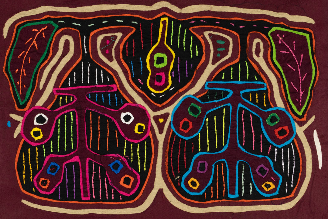 Low Hanging Star Apple Fruit Mola