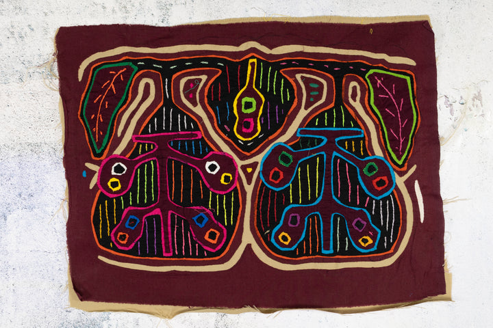 Low Hanging Star Apple Fruit Mola