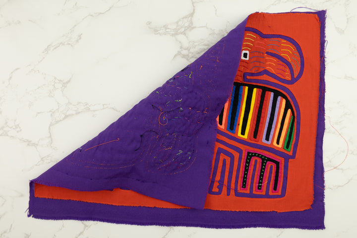 Two Toucan Parrot Bird Panama Mola