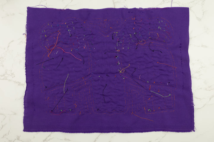 Two Toucan Parrot Bird Panama Mola