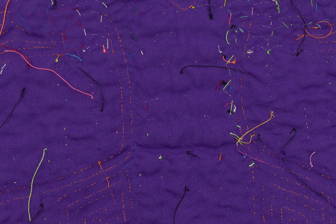 Two Toucan Parrot Bird Panama Mola