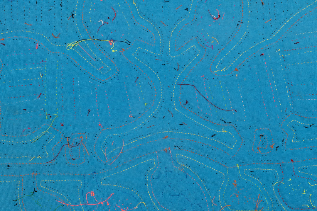 Blue Canary Bird Mola