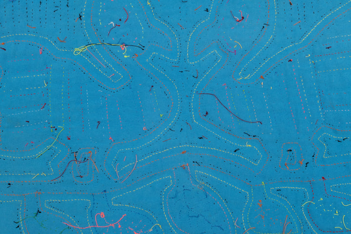 Blue Canary Bird Mola