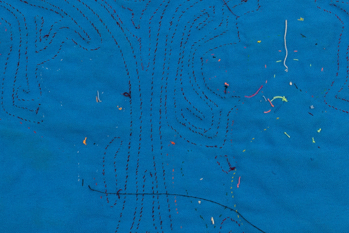 Handmade Ladybird Panama Mola