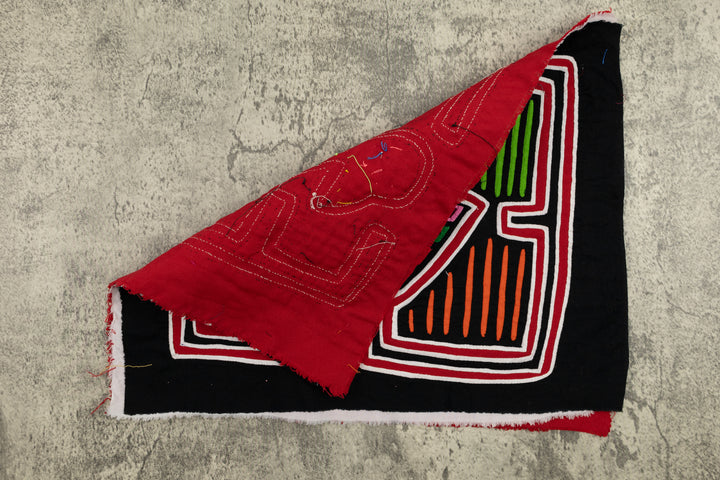 Proud Duck Bird Mola