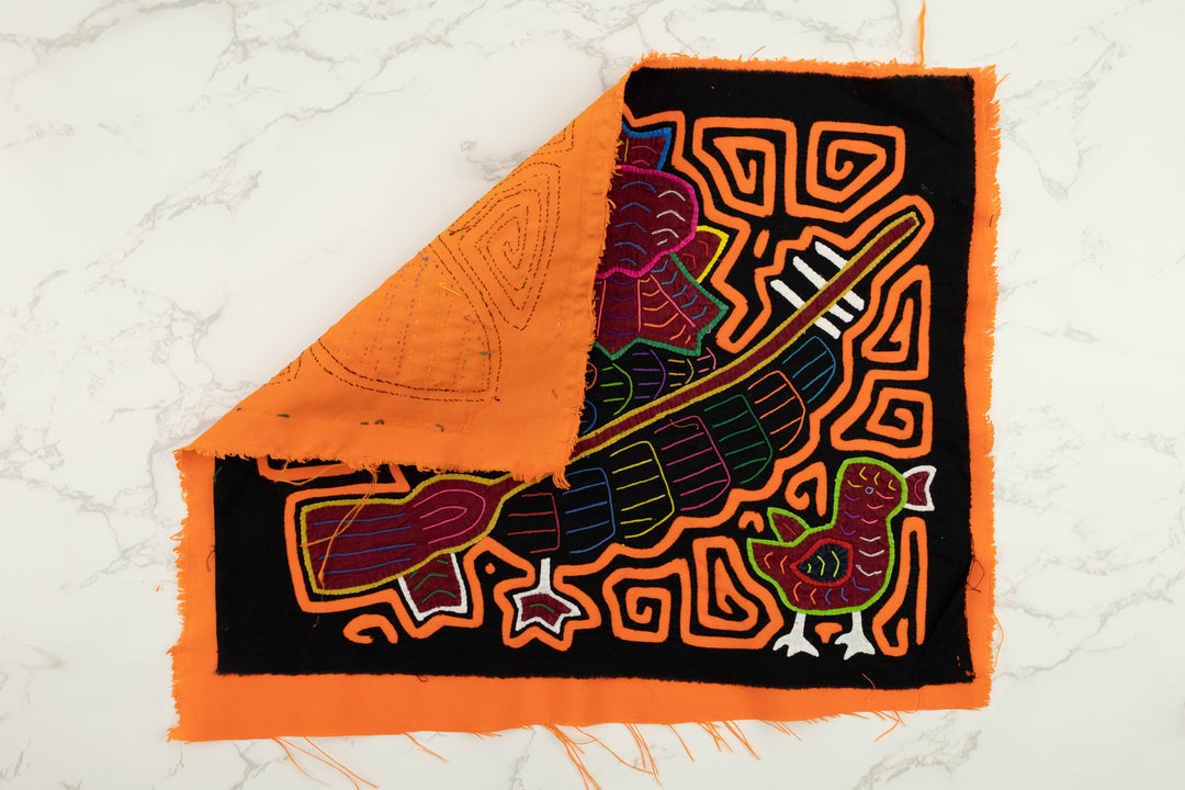 Banjo Birdie  Panama Mola