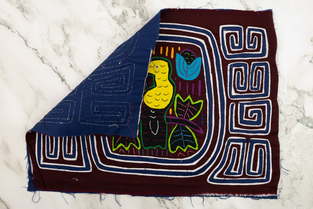 Golden Beak Toucan Bird Panama Mola