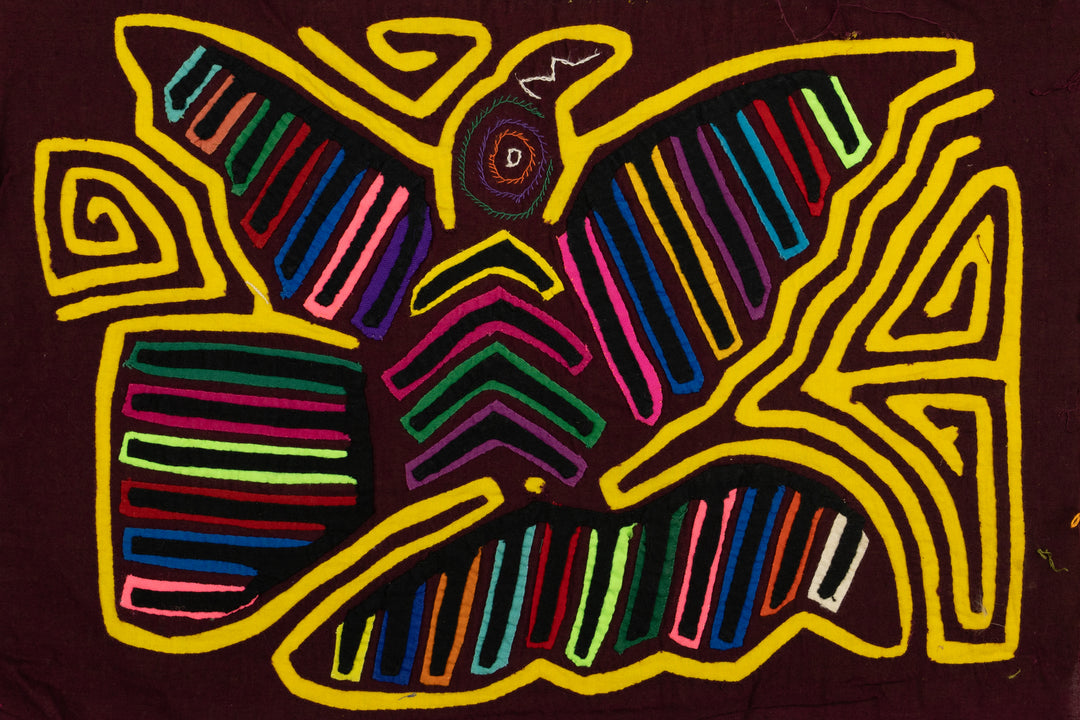 Tail Feather Bird Mola