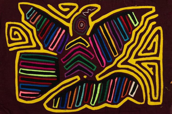 Tail Feather Bird Mola