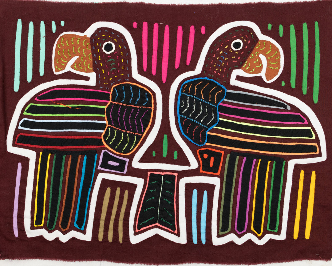 Coy Parrot Bird Mola