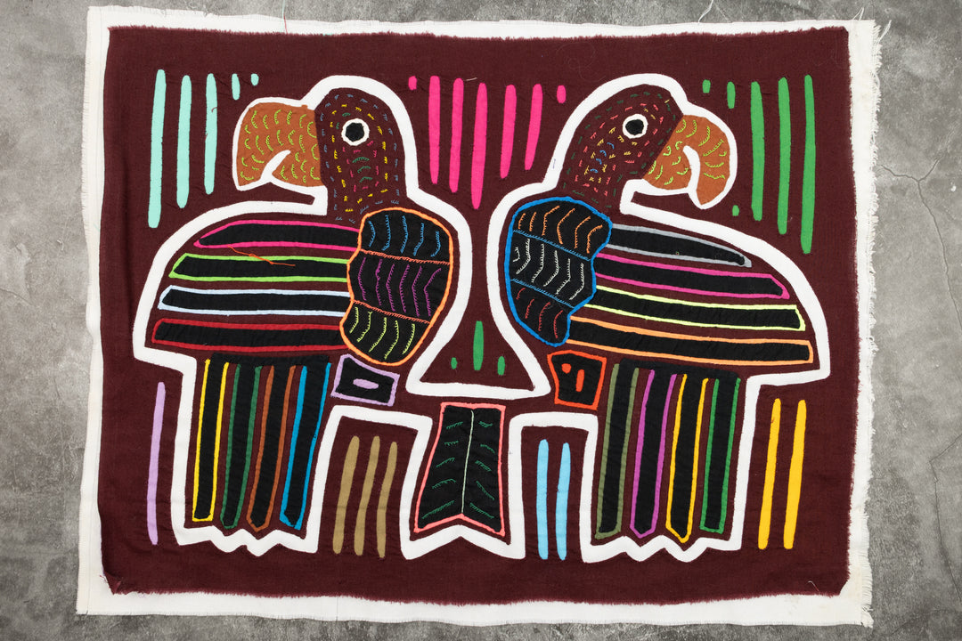 Coy Parrot Bird Mola