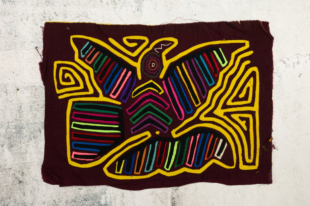 Tail Feather Bird Mola